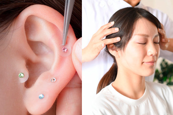 料金・メニュー